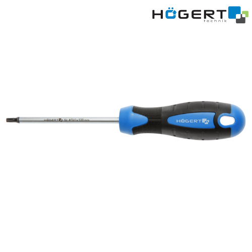 HT1S053 Պտուտակահան Torx T10, 100 մմ, S2 պողպատ