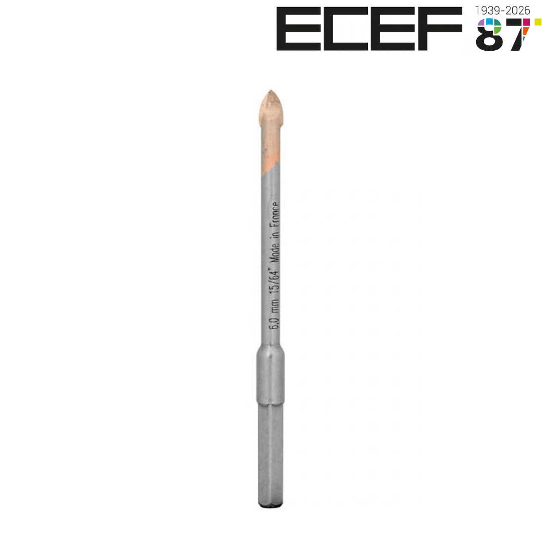 Ապակու գայլիկոն կարբիդային ծայրով 8X100-60 ECEF